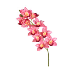 Imagem de HASTE ORQUIDEA CYMBIDIUM X10 ROSA 50280 GRILLO  - Grillo Ltda