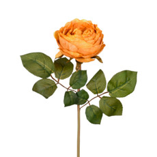 Imagem de HASTE ROSA OUTONADA MOSTARDA 20X62CM GRILLO 51878 - Grillo Ltda
