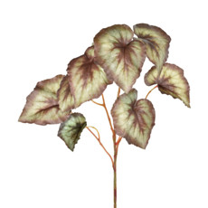 Imagem de FOLHAGEM BEGONIA X3 REAL TOQUE VERDE 24X69CM GRILLO 48967 - Grillo Ltda