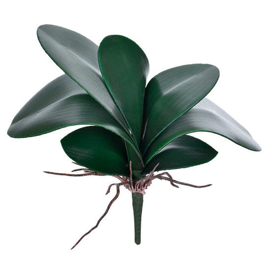 Imagem BUQUÊ DECORATIVO DE FOLHAS DE ORQUÍDEA VERDE COM RAIZ EM PLÁSTICO MOLDÁVEL - GRILLO