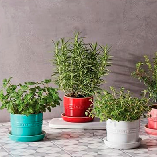Imagem VASO DECORATIVO PARA ERVAS COM BANDEJA 14CM VERMELHO - LE CREUSET 