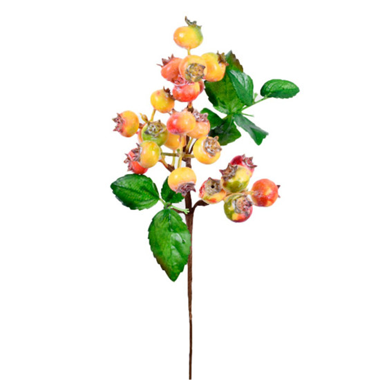 Imagem HASTE BERRIES DO CAMPO X5 VERDE ROSA 10X40CM - GRILLO 55381