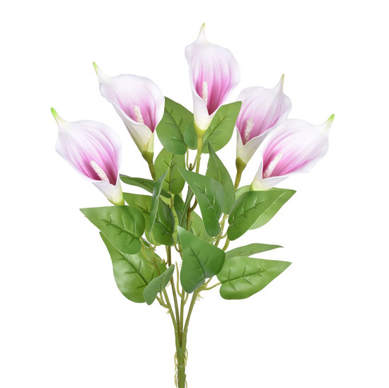 Imagem BUQUÊ COPO DE LEITE X5 ROSA 12X40CM - GRILLO 54557