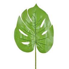 Imagem de HASTE DECORATIVA FOLHA COSTELA DE ADÃO VERD CLARO REAL TOQUE 24X63CM - GRILLO - Grillo Ltda