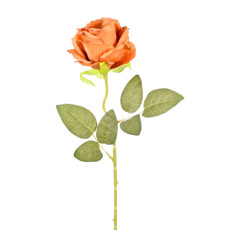 Imagem de HASTE ROSA DO CAMPO CAFÉ 9X51CM - GRILLO 55200 - Grillo Ltda