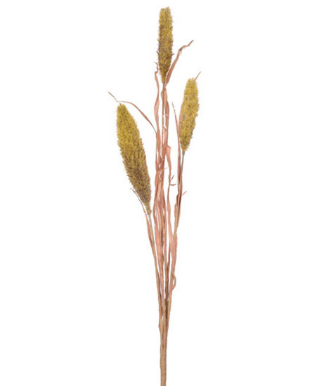 Imagem HASTE RABO DE RAPOSA X3 AMARELO OUTONO 58CM - GRILLO 