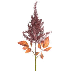 Imagem de HASTE ASTILBE OUTONADA VERMELHO OUTONO 15X70CM GRILLO 51891 - Grillo Ltda
