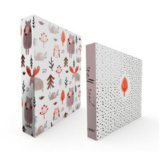 Imagem de BOOK BOX KIT 2PC SMALL SEED 26X20X7CM - Grupo Vinte Empreendimentos E Solucoes 