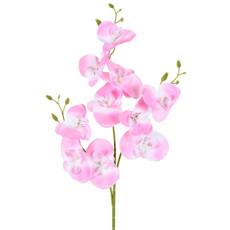Imagem de HASTE DECPRATIVA DE ORQUÍDEA PHALAENOPSIS ROSA EM PLÁSTICO MOLDÁVEL 75X10 CM - GRILLO - Grillo Ltda