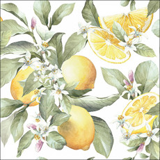 Imagem de JOGO DE GUARDANAPO ESTAMPADO LIMONI FSC MIX 20 UNIDADES DE PAPEL 33X33CM  - Tulip Gallery Comercio Imp E Exp De Guardanapos 