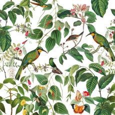 Imagem de JOGO DE GUARDANAPO ESTAMPADO MAURITIUS 20 UNIDADES DE PAPEL 33X33CM  - Tulip Gallery Comercio Imp E Exp De Guardanapos 