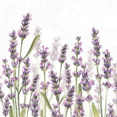 Imagem de JOGO DE GUARDANAPO ESTAMPADO LAVENDER SHADES WHITE FSC MIX 20 UNIDADES DE PAPEL 33X33CM  - Tulip Gallery Comercio Imp E Exp De Guardanapos 