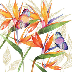 Imagem de JOGO DE GUARDANAPO ESTAMPADO PARROT FLOWER 20 UNIDADES DE PAPEL 33X33CM  - Tulip Gallery Comercio Imp E Exp De Guardanapos 