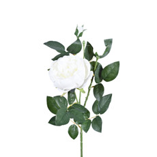 Imagem de HASTE DECORATIA DE PLÁSTICO MOLDÁVEL DE PEÔNIA CREME 77X18CM - GRILLO - Grillo Ltda