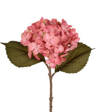 Imagem de HSTE HORTENSIA SILVESTRE BLUSH 18X45CM GRILLO 53580 - Grillo Ltda