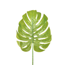 Imagem de HASTE FOLHA COSTELA DE ADÃO G VERDE CLARO 29X34CM GRILLO 54536 - Grillo Ltda