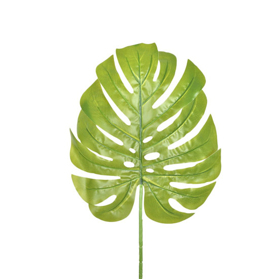 Imagem HASTE FOLHA COSTELA DE ADÃO G VERDE CLARO 29X34CM GRILLO 54536