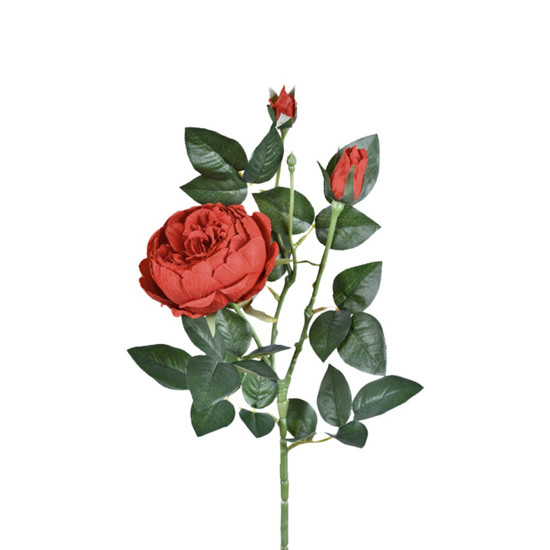 Imagem HASTE PEONIA X3 VERMELHO 18X77CM GRILLO 54549