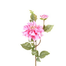 Imagem de HASTE DÁLIA DO CAMPO X3 ROSA 16X68CM GRILLO 54565 - Grillo Ltda