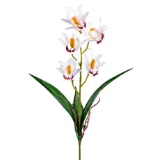 Imagem de HASTE ORQUIDEA X5 COM RAIZ BRANCO 14X58CM GRILLO 46409 - Grillo Ltda