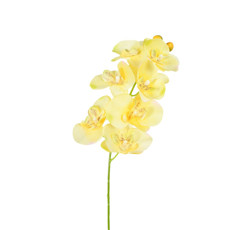 Imagem de HASTE ORQUIDEA PHALAENOPSIS AMARELO 66CM GRILLO 56280 - Grillo Ltda