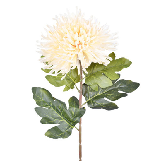 Imagem HASTE CRISANTEMO SILVESTRE CREME 20X77CM GRILLO 54566
