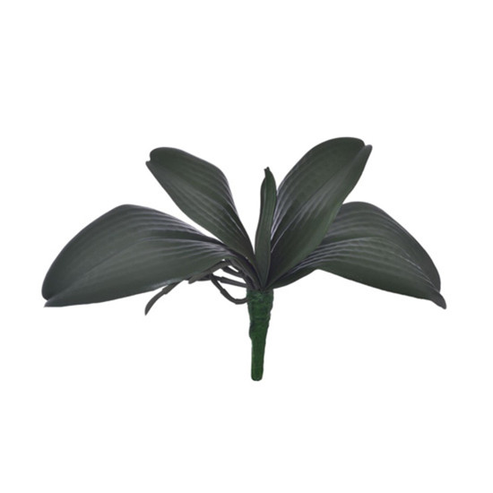 Imagem FOLHA DE ORQUIDEA X5 EM PVC VERDE 30X20CM GRILLO 51396