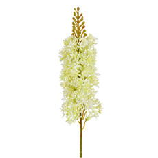 Imagem de HASTE DECORATIVA PERMANENTE DE DELFINIUM CREME VERDE EM PLÁSTICO MOLDÁVEL 85X10 CM - Grillo Ltda