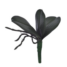 Imagem de HASTE FOLHAS DE ORQUÍDEA COM RAIZ EM PLÁSTICO MOLDÁVEL 16X15 CM - GRILLO 51394 - Grillo Ltda