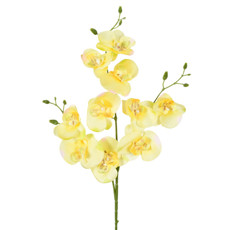 Imagem de HASTE DECPRATIVA DE ORQUÍDEA PHALAENOPSIS AMARELA EM PLÁSTICO MOLDÁVEL - GRILLO - Grillo Ltda