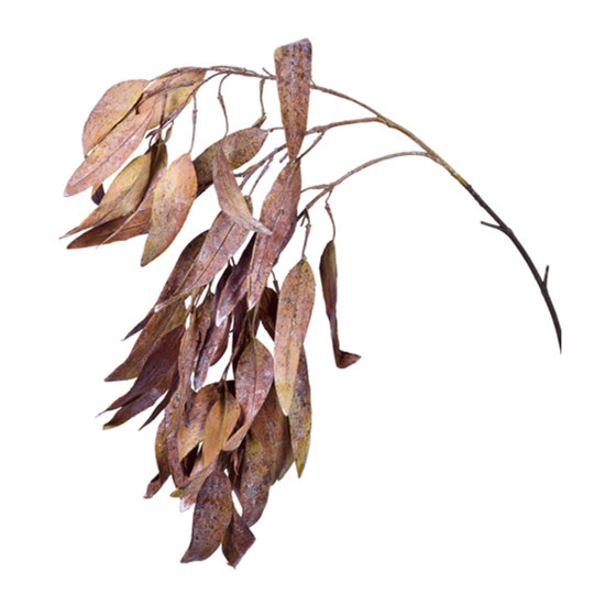Imagem HASTE GALHO DECORATIVA PERMANENTE DE EUCALIPTO MARROM EM PLÁSTICO MOLDÁVEL 62X19CM