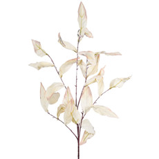 Imagem de HASTE DE FOLHAS PERMANENTES DE PROTEA EM PLÁSTICO MOLDÁVEL BEGE 86X21 CM - GRILLO - Grillo Ltda