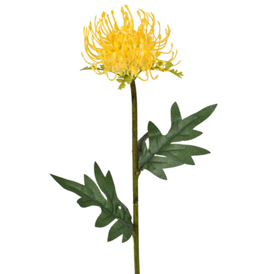 Imagem HASTE DECORATIVA PERMANENTE DE LICOSPERMUM AMARELO EM PLÁSTICO 56X11 CM - GRILLO