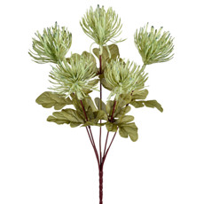 Imagem de BUQUÊ DECORATIVO PERMANENTE DE LICOSPERMUM VERDE EM PLÁSTICO 33X16 CM - GRILLO - Grillo Ltda