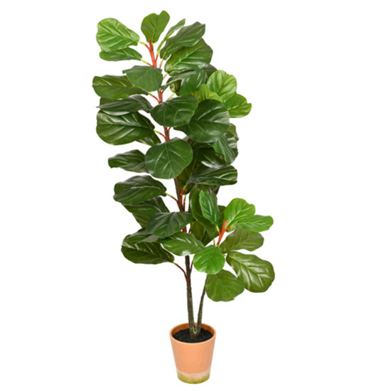Imagem PLANTA DECORATIVA FICUS LIRATA COM FOLHAGEM VERDE EM PLÁSTICO TOQUE REAL- GRILLO