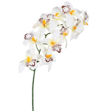 Imagem de HASTE DECORATIVA EM PLÁSTICO MOLDÁVEL DE CYMBIDIUM BRANCO 71X13 CM - GRILLO - Grillo Ltda