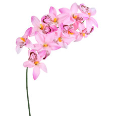Imagem de HASTE DECORATIVA EM PLÁSTICO MOLDÁVEL DE CYMBIDIUM ROSA 71X13 CM - GRILLO - Grillo Ltda