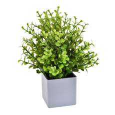 Imagem de ARRANJO DECORATICO DE GRAMA VERDE EM PLÁSTICO 20X11 CM - GRILLO - Grillo Ltda