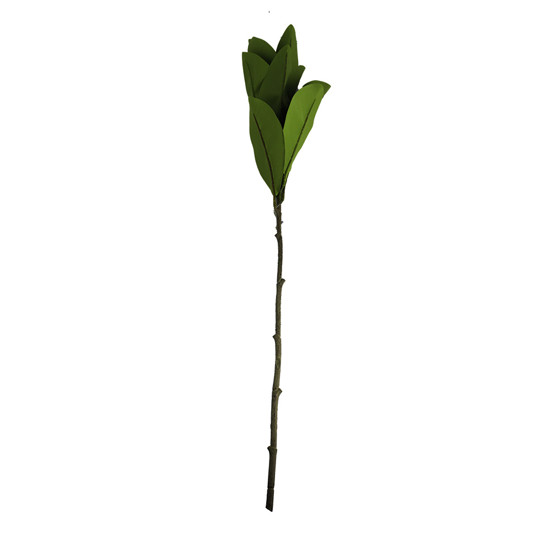 Imagem HASTE FOLHAGEM VERDE LONGA DECORATIVA EM PLÁSTICO 85X10 CM - GRILLO 58404