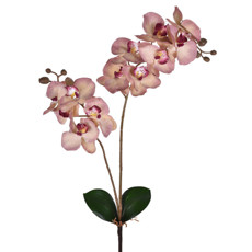 Imagem de HASTE DECORATIVA DE ORQUÍDEA ROSA COM FOLHAS E RAIZ EM PLÁSTICO MOLDÁVEL - GRILLO - Grillo Ltda