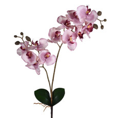 Imagem de HASTE DECORATIVA DE ORQUÍDEA LAVANDA COM FOLHAS E RAIZ EM PLÁSTICO MOLDÁVEL - GRILLO - Grillo Ltda