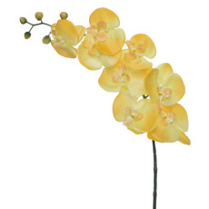 Imagem de HASTE DECORATIVA DE ORQUÍDEA AMARELA EM PLÁSTICO MOLDÁVEL 103X16 CM - GRILLO - Grillo Ltda