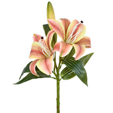 Imagem de HASTE DECORATIVA DE LÍRIO COR PÊSSEGO EM PLÁSTICO MOLDÁVEL 39X19 CM - GRILLO - Grillo Ltda