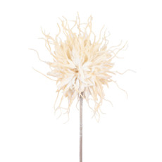 Imagem de HASTE OURIÇO DECORATIVA CREME EM PLÁSTICO MOLDÁVEL 75X22 CM - GRILLO - Grillo Ltda