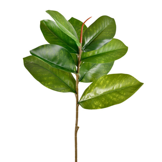 Imagem HASTE DECORATIVA DE FOLHAS DE CARVALHO VERDE EM PLÁSTICO MOLDÁVEL 58X17 CM - GRILLO