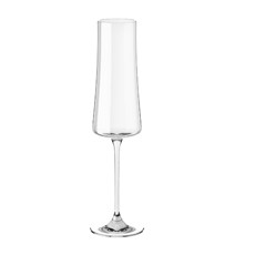 Imagem de TAÇA PLEASURE PARA ESPUMANTE 210ML EM CRISTAL 26X7X7 CM - HAUS CONCEPT - Brinox Metalurgica S   A