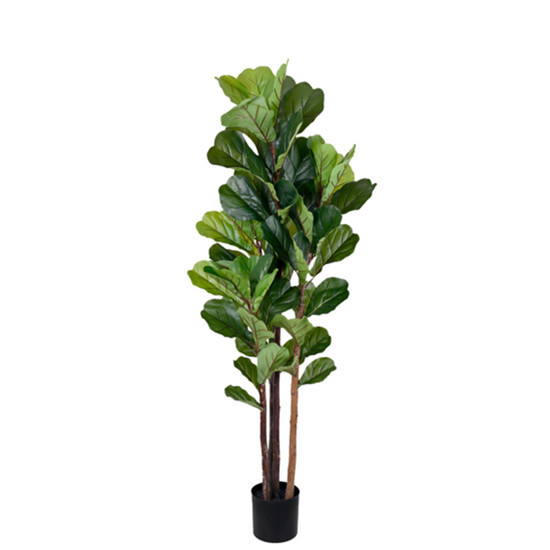 Imagem PLANTA FICUS LIRATA FOLHAS VERDE DECORATIVA EM PLÁSTICO NO POTE 160X54 CM - GRILLO