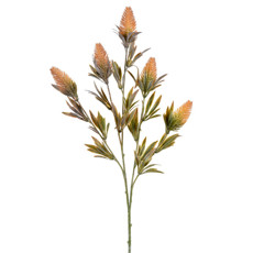 Imagem de HASTE DECORATIVA DE SEMENTES SILVESTRES OUTONO EM PLÁSTICO MOLDÁVEL 65X21CM - GRILLO - Grillo Ltda