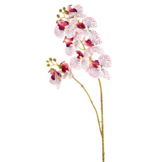 Imagem de HASTE ORQUÍDEA PHALAENOPSIS TOQUE REAL CREME ROSA EM PLÁSTICO MOLDÁVEL - GRILLO - Grillo Ltda