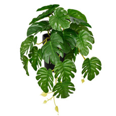 Imagem de ARRANJO DECORATIVO DE FOLHAS PERMANANTES VERDE NO VASO EM PLÁSTICO 19X20CM - GRILLO - Grillo Ltda